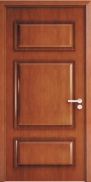 puerta blindada 1